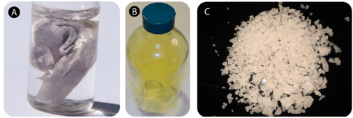 three images, sodium stored in oil, yellow chlorine gas stored in a glass container, and a small pile of white salt crystals