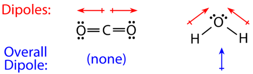 The molecular geometry of a molecule affects its polarity. Each CO bond has a dipole moment, but they point in opposite directions so that the net CO2 molecule is nonpolar. In contrast, water is polar because the OH bond moments do not cancel out.