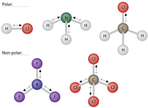 Five examples total, 3 of polar and 2 of nonpolar molecules based on molecular geometry
