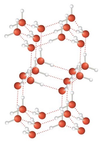 Example illustration of when water solidifies, hydrogen bonding between the molecules forces the molecules to line up in a way that creates empty space between the molecules