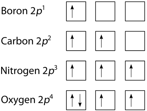 Hund's Rule diagram for Boron, Carbon, Nitrogen, and Oxygen