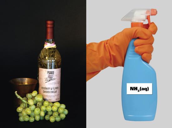 Image of a wine bottle and plastic spray bottle, one depicting an acid and another a base found commonly at home