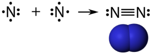 Two Lewis dot structures for nitrogen atoms are combined to make a nitrogen molecule involving a triple bond.