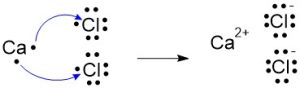 two chlorine atoms to accept the two electrons from one calcium atom