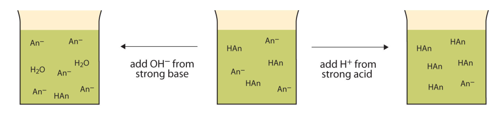 Graphic depiction of buffers impacting changes in pH
