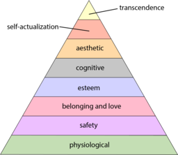 Pyramid listing Maslow's hierarchy of Needs.