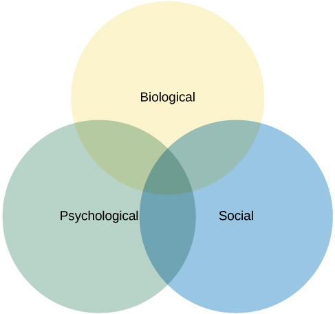 Three circles overlapping with the words biological, psychological and social written on them.