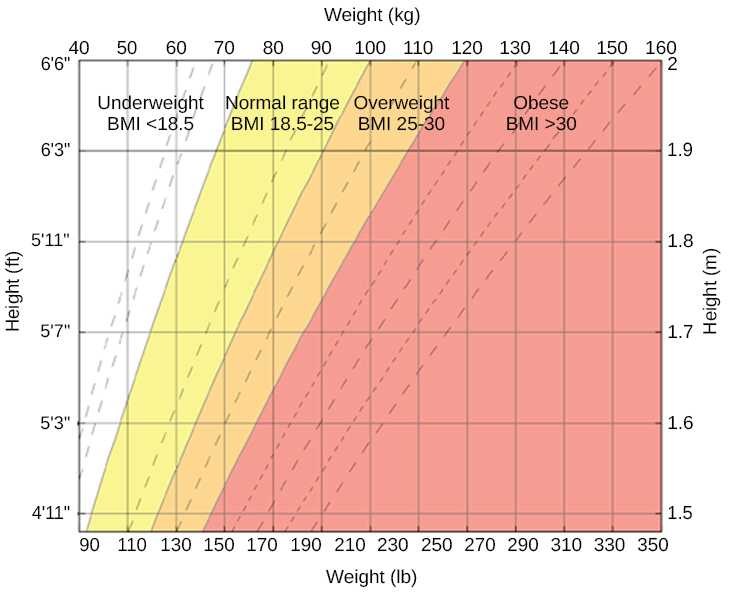 bmi chart