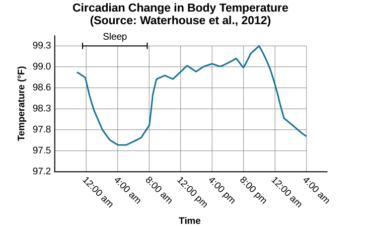 A line graph is titled “Circadian Change in Body Temperature (Source: Waterhouse et al., 2012).” The y-axis, is labeled “temperature (degrees Fahrenheit),” ranges from 97.2 to 99.3. The x-axis, which is labeled “time,” begins at 12:00 A.M. and ends at 4:00 A.M. the following day. The subjects slept from 12:00 A.M. until 8:00 A.M. during which time their average body temperatures dropped from around 98.8 degrees at midnight to 97.6 degrees at 4:00 A.M. and then gradually rose back to nearly the same starting temperature by 8:00 A.M. The average body temperature fluctuated slightly throughout the day with an upward tilt, until the next sleep cycle where the temperature again dropped.