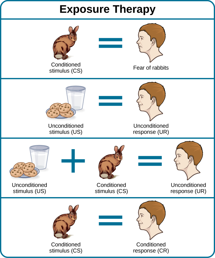 This figure, titled “Exposure Therapy,” illustrates the exposure therapy strategy of Mary Cover Jones to rid a person of the fear of rabbits. The first of four levels depicts an image of a person and a rabbit with an equals sign between them. Under the rabbit reads “conditioned stimulus (CS),” and under the person reads “fear of rabbits.” The second level depicts an image of milk and cookies, labeled “unconditioned stimulus (US),” and on the other side of an equals sign there is a picture of the same person labeled “unconditioned response (UR).” The third level shows the milk and cookies, labeled “unconditioned stimulus (US),” and rabbit, labeled “conditioned stimulus (CS),” to the left and right of a plus sign, with the person on the other side of an equals sign. The label “unconditioned response (UR) is below the person.” The final level shows the person and the rabbit separated by an equals sign. This time the rabbit is labeled “conditioned stimulus (CS)” and the person is labeled “conditioned response (CR).”