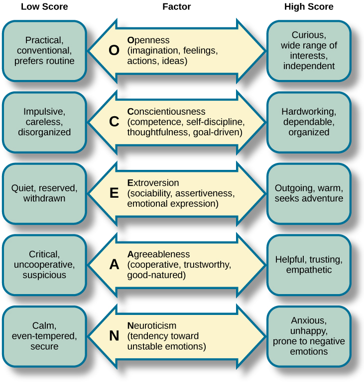 A diagram includes five vertically stacked arrows, which point to the left and right. A dimension's first letter, name, and description are included inside of each arrow. A box to the left of each arrow includes factors associated with a low score for that arrow's dimension. A box to the right of each arrow includes factors associated with a high score for that arrow's dimension. The top arrow includes the factor “openness,” which is described with the words, “imagination,” “feelings,” “actions,” and “ideas.” The box to the left of that arrow includes the words, “practical,” “conventional,” and “prefers routine,” while the box to the right of that arrow includes the words, “curious,” “wide range of interests,” and “independent.” The next arrow includes the factor “conscientiousness,” which is described with the words, “competence,” “self-discipline,” “thoughtfulness,” and “goal-driven.” The box to the left of that arrow includes the words, “impulsive,” “careless,” and “disorganized,” while the box to the right of that arrow includes the words, “hardworking,” “dependable,” and “organized.” The next arrow includes the factor “extroversion,” which is described with the words, “sociability,” “assertiveness,” and “emotional expression.” The box to the left of that arrow includes the words, “quiet,” “reserved,” and “withdrawn,” while the box to the right of that arrow includes the words, “outgoing,” “warm,” and “seeks adventure.” The next arrow includes the factor “agreeableness,” which is described with the words, “cooperative,” “trustworthy,” and “good-natured.” The box to the left of that arrow includes the words, “critical,” “uncooperative,” and “suspicious,” while the box to the right of that arrow includes the words, “helpful,” “trusting,” and “empathetic.” The next arrow includes the factor “neuroticism,” which is described as “tendency toward unstable emotions.” The box to the left of that arrow includes the words, “calm,” “even-tempered,” and “secure,” while the box to the right of that arrow includes the words, “anxious,” “unhappy,” and “prone to negative emotions.”