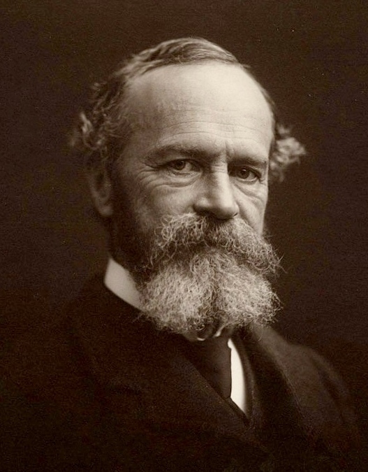 A photograph of William James