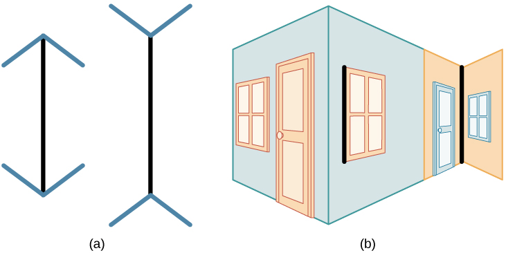 Diagram of the Muller-Lyer Illusion in which two lines of equal length appear different because, in one image, the arrows point outward, creating the illusion that the line is shorter. The second line has arrows on each end that point in, making the line appear longer.