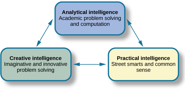 The diagram of Sternberg's theory of intelligence has three parts: Creative, analytical, and practical intelligence.