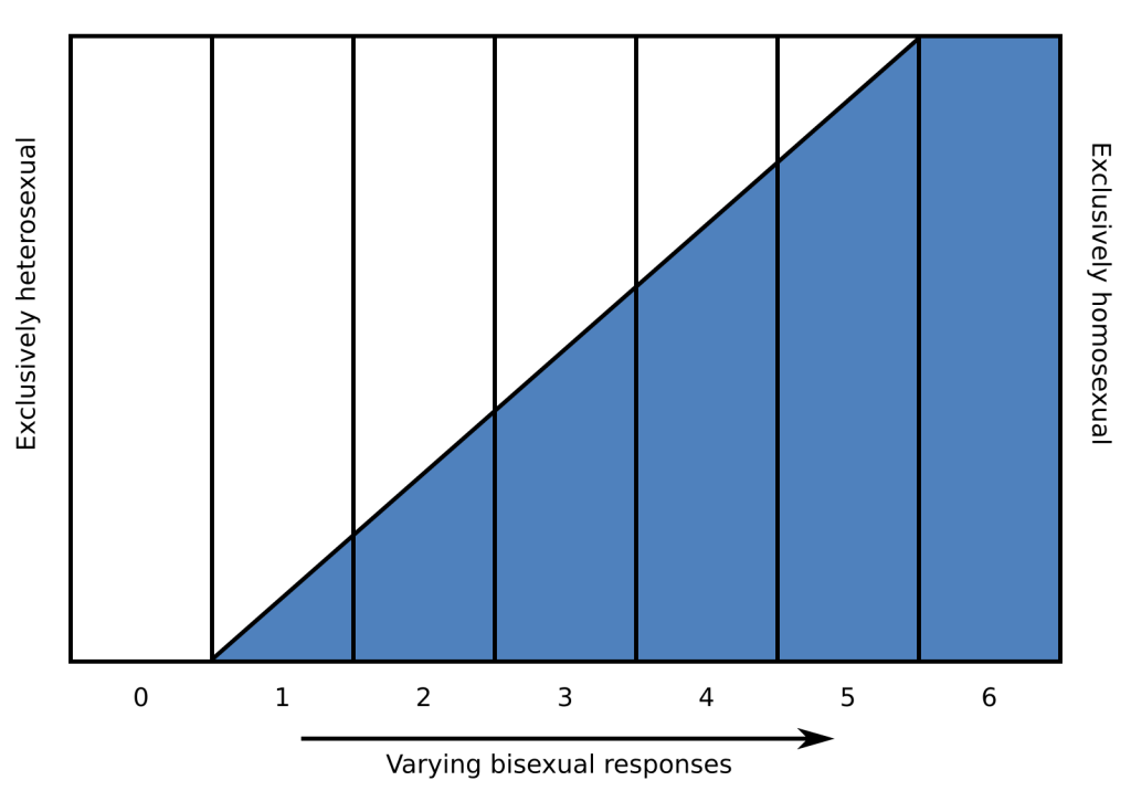 Kinsey Scale showing varying bisexual responses.