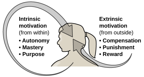 Intrinsic motivation (from within): Autonomy, Mastery, Purpose Extrinsic motivation (from outside): Compensation, Punishment, Reward