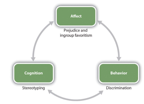 Circle diagram depicting the stages of a cycle between affect (prejudice & ingroup favoritism, Behavior (discrimination), and Cognition (stereotyping), emphasizing the relationships between these cycles within groups.