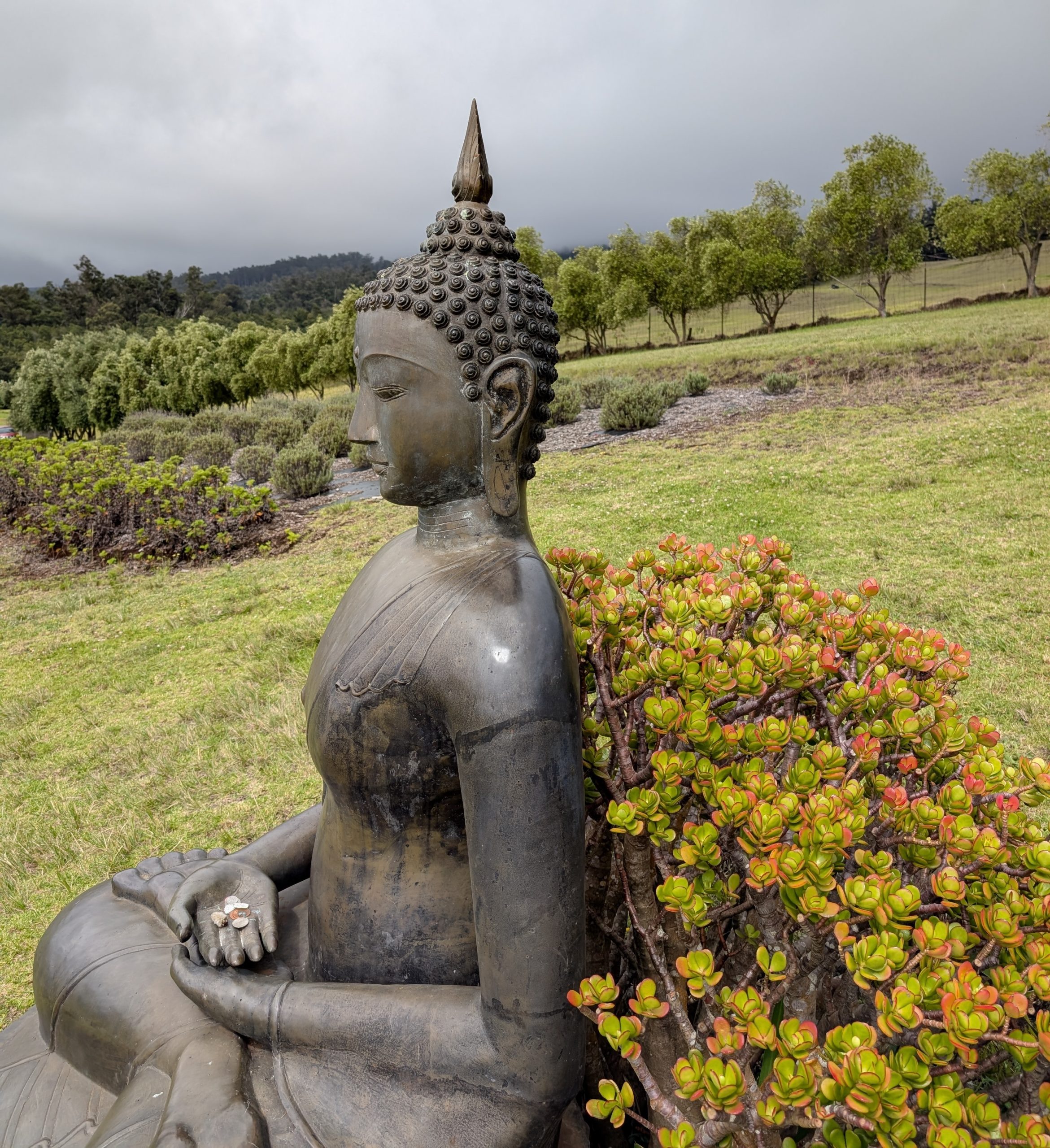 Statue of Buddha at Maui Lavender Farm