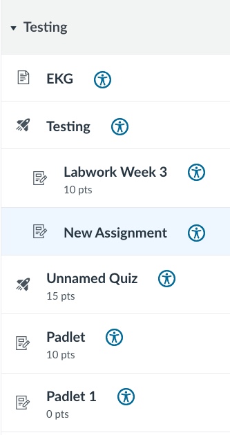 List of assignments in Canvas with blue accessibility icons.