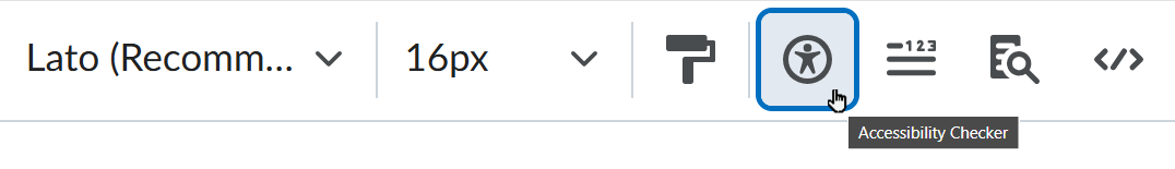 The Canvas Accessibility Checker appears as a person-in-a-circle icon under the Rich Content Editor.