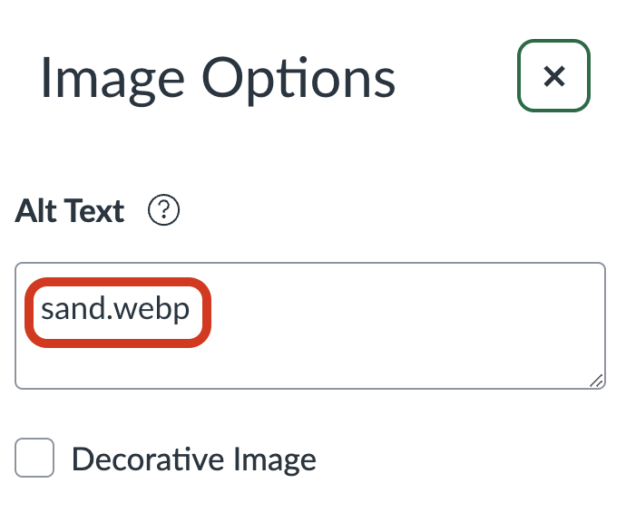 Canvas Image Options with the image filename highlighted in the alt text field