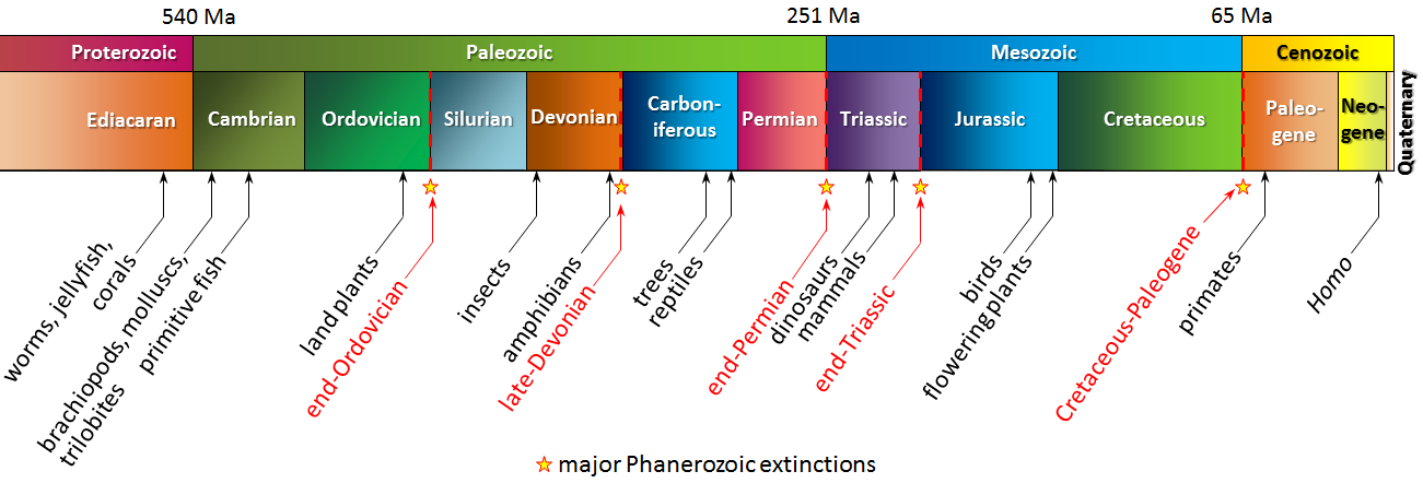 Figure 8.10 A summary of life on Earth during the late Proterozoic and the Phanerozoic. The top row shows geological eras, and the lower row shows the periods. [SE]