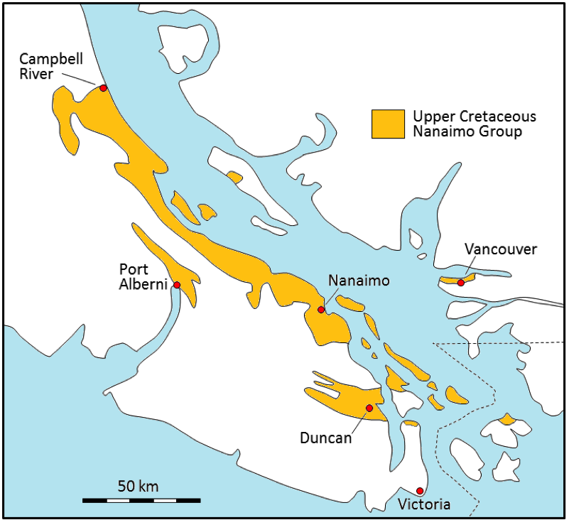 Figure 6.25 The distribution of the Upper Cretaceous Nanaimo Group rocks on Vancouver Island, the Gulf Islands and in the Vancouver area. [Redrawn based on Mustard, P., 1994, The Upper Cretaceous Nanaimo Group, Georgia Basin, in J. Monger (ed) Geology and Geological Hazards of the Vancouver Region, Geol. Survey of Canada, Bull. 481, p. 27-95)