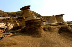Figure 5.1 The Hoodoos, near Drumheller, Alberta, have formed from the differential weathering of sedimentary rock that was buried beneath other rock for close to 100 Ma [SE photo]