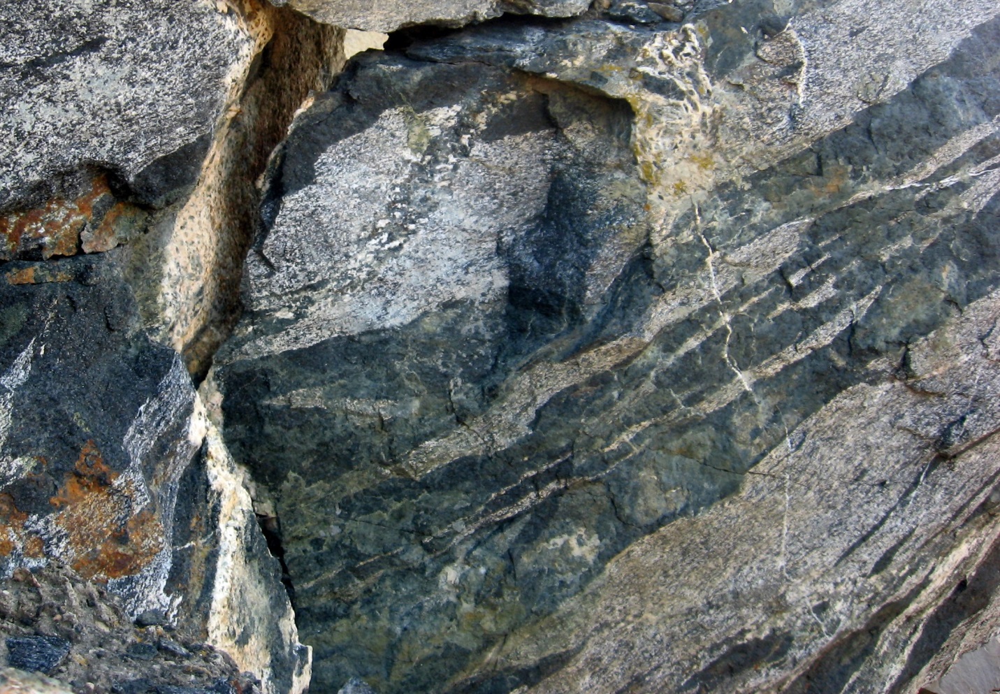 Photograph of Metamorphic rock (gneiss) of the Okanagan Metamorphic and Igneous Complex at Skaha Lake, BC. The dark bands are amphibole-rich, the light bands are feldspar-rich.