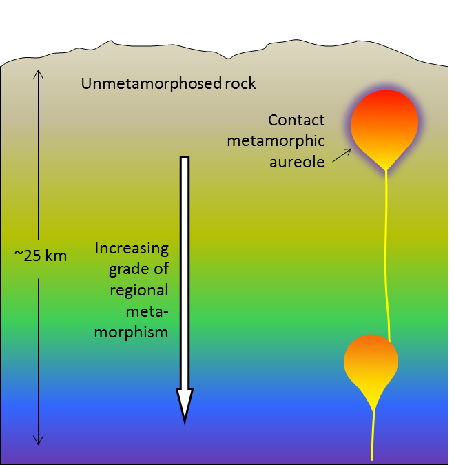 Figure 7.24 Schematic cross-section of the middle and upper crust showing two magma bodies. The upper body, which has intruded into cool unmetamorphosed rock, has created a zone of contact metamorphism. The lower body is surrounded by rock that is already hot (and probably already metamorphosed), and so it does not have a significant metamorphic aureole. [SE]