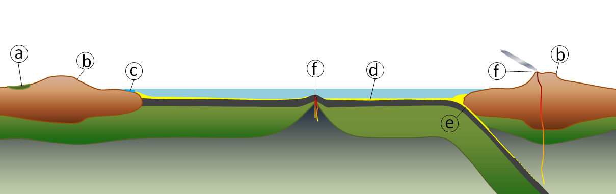 A representation of the geological carbon cycle (a: carbon in organic matter stored in peat, coal and permafrost, b: weathering of silicate minerals converts atmospheric carbon dioxide to dissolved bicarbonate, c: dissolved carbon is converted to calcite by marine organisms, d: carbon compounds are stored in sediments, e: carbon-bearing sediments are transferred to longer-term storage in the mantle, and f: carbon dioxide is released back to atmosphere during volcanic eruptions.)