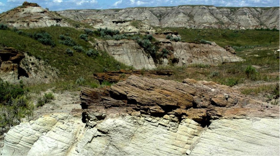 Figure 6.1 The Cretaceous Dinosaur Park Formation at Dinosaur Provincial Park, Alberta, one the world’s most important sites for dinosaur fossils. The rocks in the foreground show cross-bedding, indicative of deposition in a fluvial (river) environment