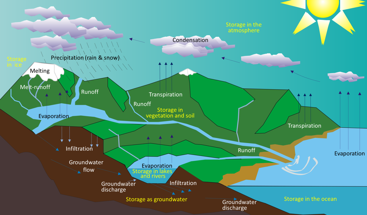 Figure 13.2 The various components of the water cycle. Black or white text indicates the movement or transfer of water from one reservoir to another. Yellow text indicates the storage of water. [SE after Wikipedia: http://upload.wikimedia.org/wikipedia/commons/5/54/Water_cycle_blank.svg]