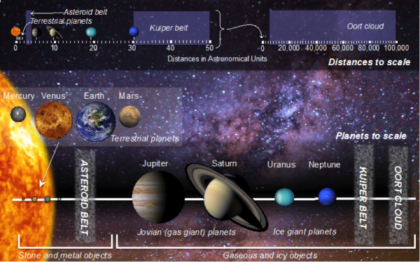 Figure 22.9 Our solar system. Top: The solar system shown with distances to scale. Distances are in astronomical units (AU), where 1 AU is the average distance from Earth to the sun. The edge of the Kuiper belt extends to 50 AU (7.5 billion km), but this distance is miniscule compared to the size of the solar system as a whole, which extends to the edge of the Oort cloud, thought to be 15 trillion km away. Bottom: Solar system with sun and planets to scale. The gas giants are the largest planets, followed by the ice giants, and then the terrestrial planets. Note that the planets in this diagram likely do not reflect the entire population of planets in our solar system, because evidence suggests that large planets are present beyond the Kuiper belt. [KP, planet photographs courtesy of NASA via http://bit.ly/1M89xPs, Milky Way photo ForestWanderer (CC BY SA 3.0) http://bit.ly/1M89xPs]