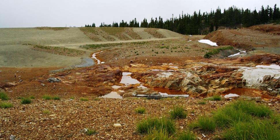 Figure 14.22 Acidic runoff at the abandoned Mt. Washington Mine near Courtenay, B.C. [SE]