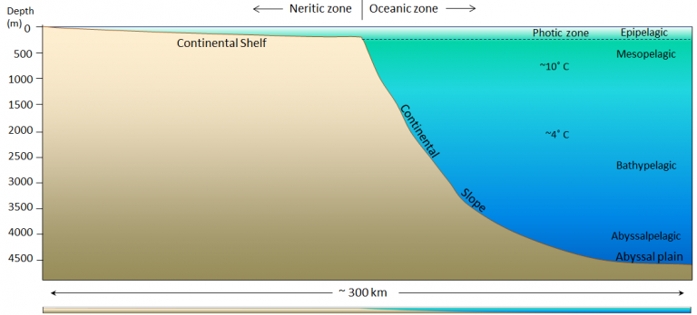 18.1 The Topography of the Sea Floor – Physical Geology