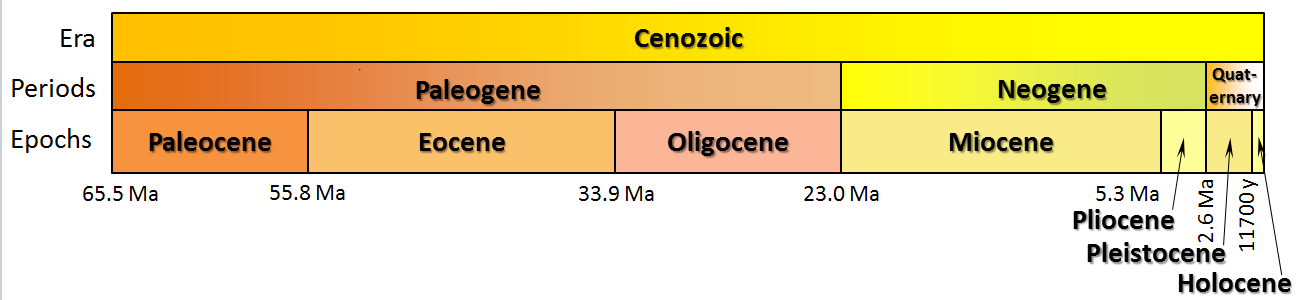 Figure 8.5 The periods (middle row) and epochs (bottom row) of the Cenozoic [SE]