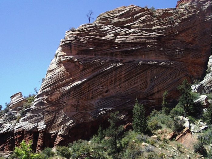 Figure 6.20 Cross-bedded Jurassic Navajo Formation aeolian sandstone at Zion National Park, Utah. In most of the layers the cross-beds dip down towards the right, implying wind direction from right to left during deposition. One bed dips in the opposite direction, implying an abnormal wind.