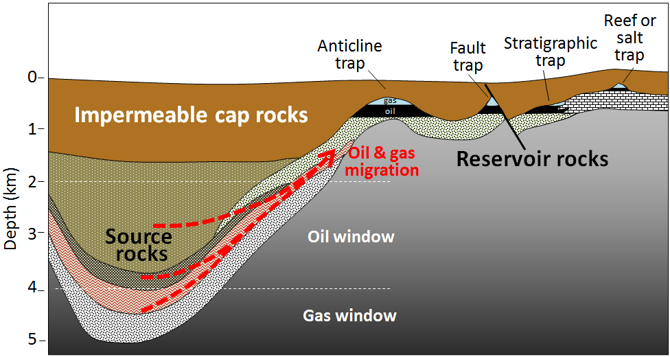 Figure 20.21 Migration of oil and gas from source rocks into traps in reservoir rocks [SE]