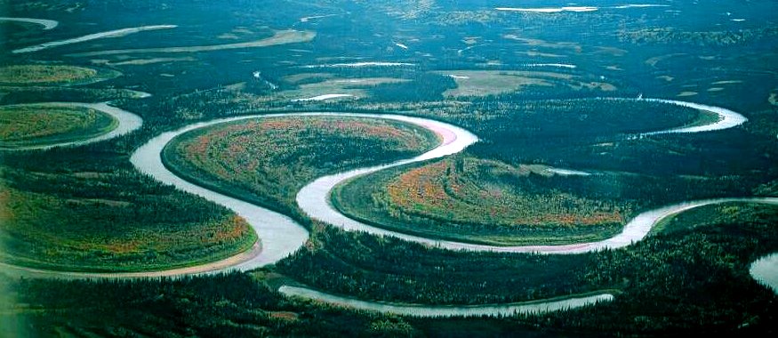 Figure 13.22 The meandering channel of the Nowitna River, Alaska. Numerous oxbow lakes are present and another meander cutoff will soon take place. [Oliver Kumis, http://commons.wikimedia.org/wiki/File:Nowitna_river.jpg]