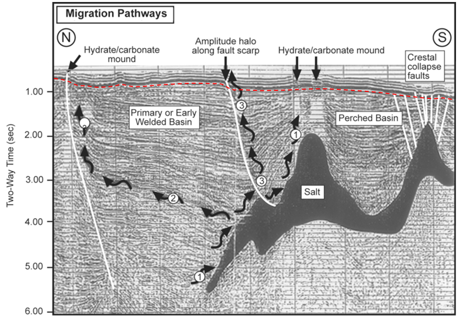 Figure 20.22 Seismic section through the East Breaks Field in the Gulf of Mexico. The dashed red line marks the approximate boundary between deformed rocks and younger undeformed rocks. The wiggly arrows are interpreted migration paths. The total thickness of this section is approximately 5 km. [SE after http://wiki.aapg.org/File:Sedimentary-basin-analysis_fig4-55.png]