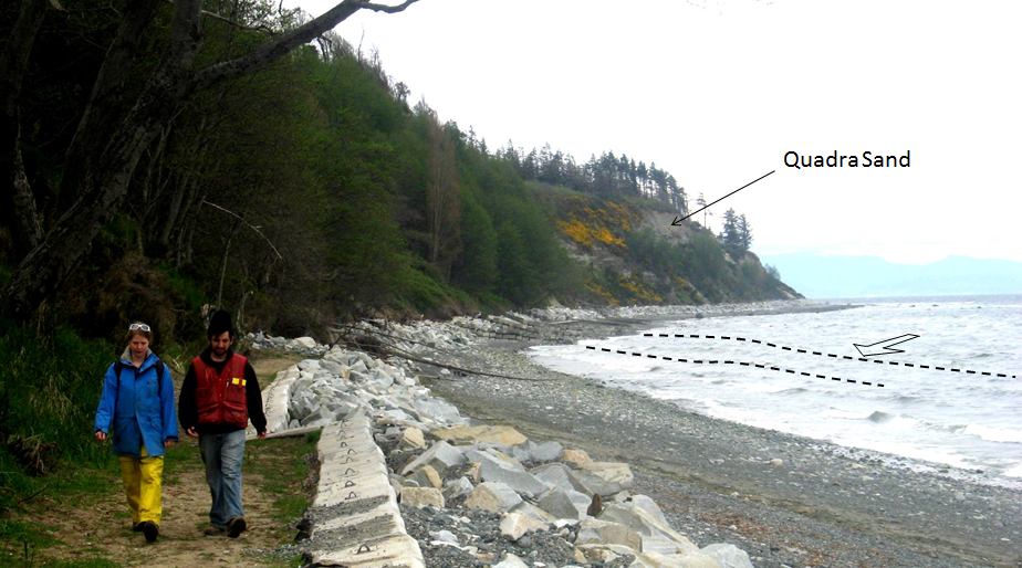Figure 17.19 The Quadra Sand cliff at Comox, and the extensive concrete and rip-rap barrier that has been constructed to reduce erosion. Note that the waves (dashed lines) are approaching the shore at an angle, contributing to the longshore current. [SE]