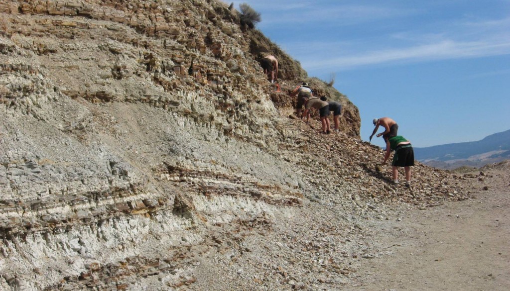 Figure 21.32 The Tranquille Formation at the McAbee fossil site west of Kamloops, B.C. [SE]