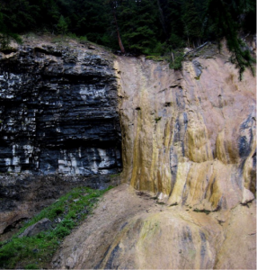 Figure 6.12 Tufa formed at a spring at Johnston Creek, Alberta. The rock to the left is limestone.