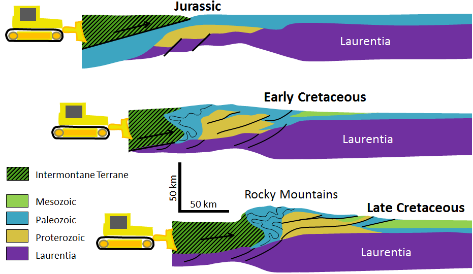 Figure 21.15 Cross-section of the accretion of the Intermontane Superterrane to the west coast of North America and the resulting compression, folding, and thrusting of North American sedimentary rocks. In the Late Cretaceous, it was the accretion of the Insular Superterrane, pushing against the Intermontane Superterrane, that did most of the work. [SE]