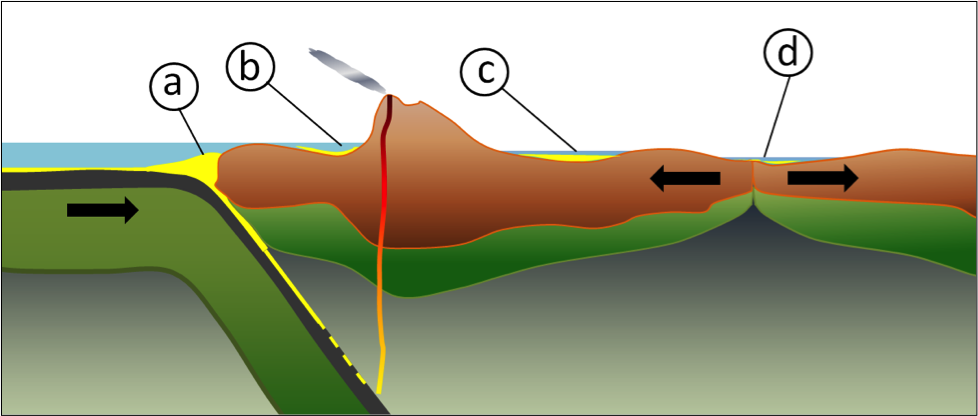 Figure 6.18 Some of the more important types of tectonically produced basins: (a) trench basin, (b) forearc basin, (c) foreland basin, and (d) rift basin.