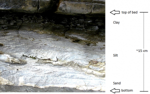 Figure 6.22 A graded turbidite bed in Cretaceous Spray Formation rocks on Gabriola Island, B.C. The lower several centimetres of sand and silt probably formed over the duration of an hour. The upper few centimetres of fine clay may have accumulated over a few hundred years.