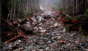 Figure 15.17 The lower part of debris flow within a steep stream channel near Buttle Lake, B.C., in November 2006. [SE]
