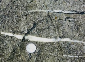 Figure 7.26 Calcite veins in limestone of the Comox Formation, Nanaimo, B.C. [SE]