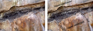 Figure 8.7 Superposition and cross-cutting relationships in Cretaceous Nanaimo Group rocks in Nanaimo, B.C. The coal seam is about 50 cm thick. [SE ]